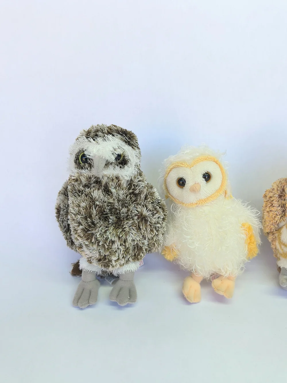 LEGEND OF THE GUARDIANS Owls of Ga'Hoole Soren Eglantine Gylfie Digger Plush TY